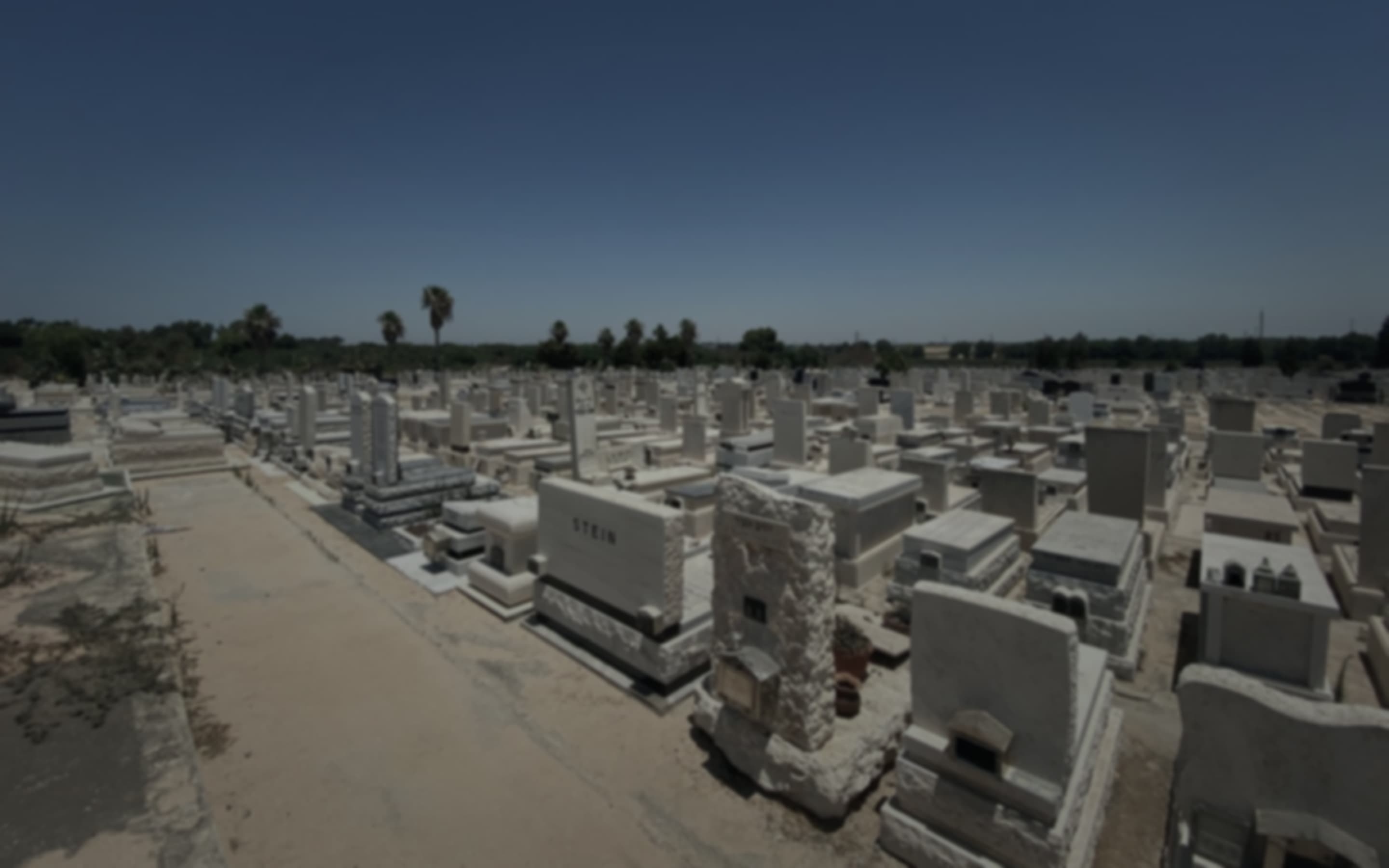 תמונה עם נוף של חיפוש ברשומות הקבורה, בזיכרון