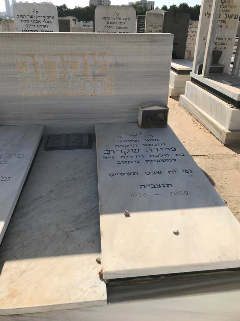 קברו של פרידה שקרוב. תמונה 2