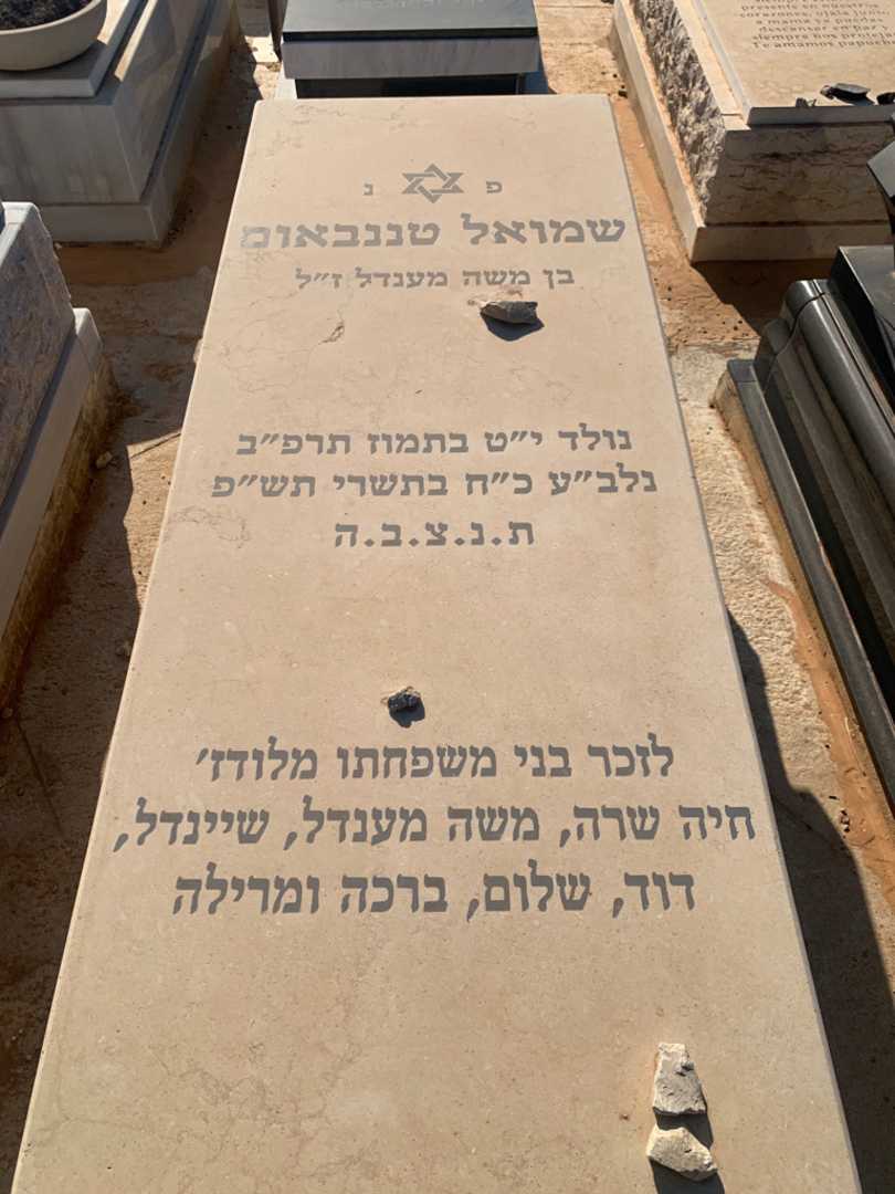 קברו של שיינדל מלודז'