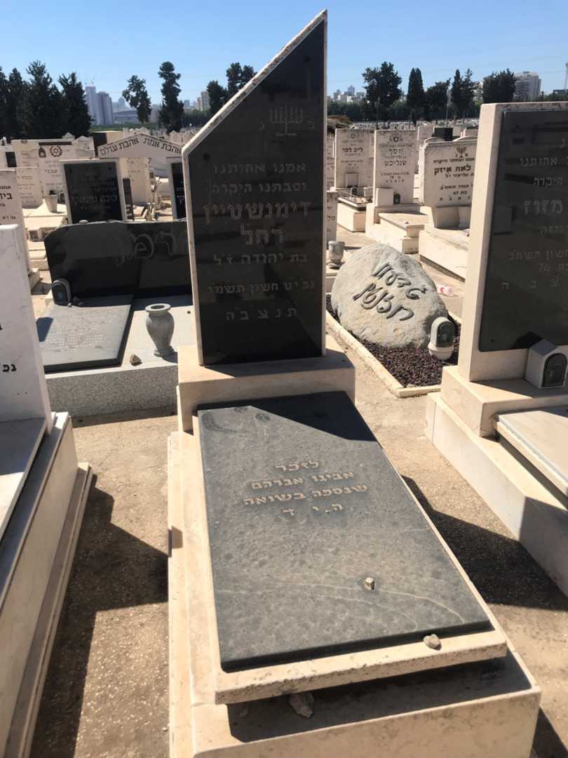 קברו של רחל דימנשטיין. תמונה 1