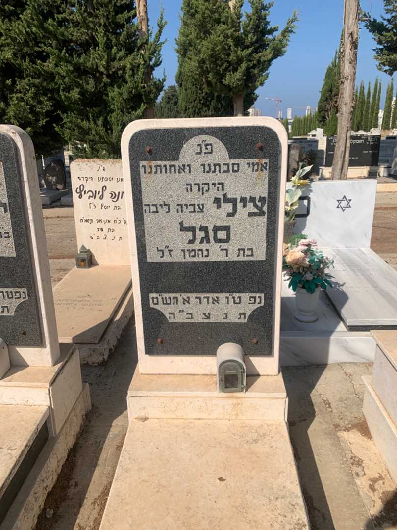 קברו של צילי "צביה ליבה" סגל