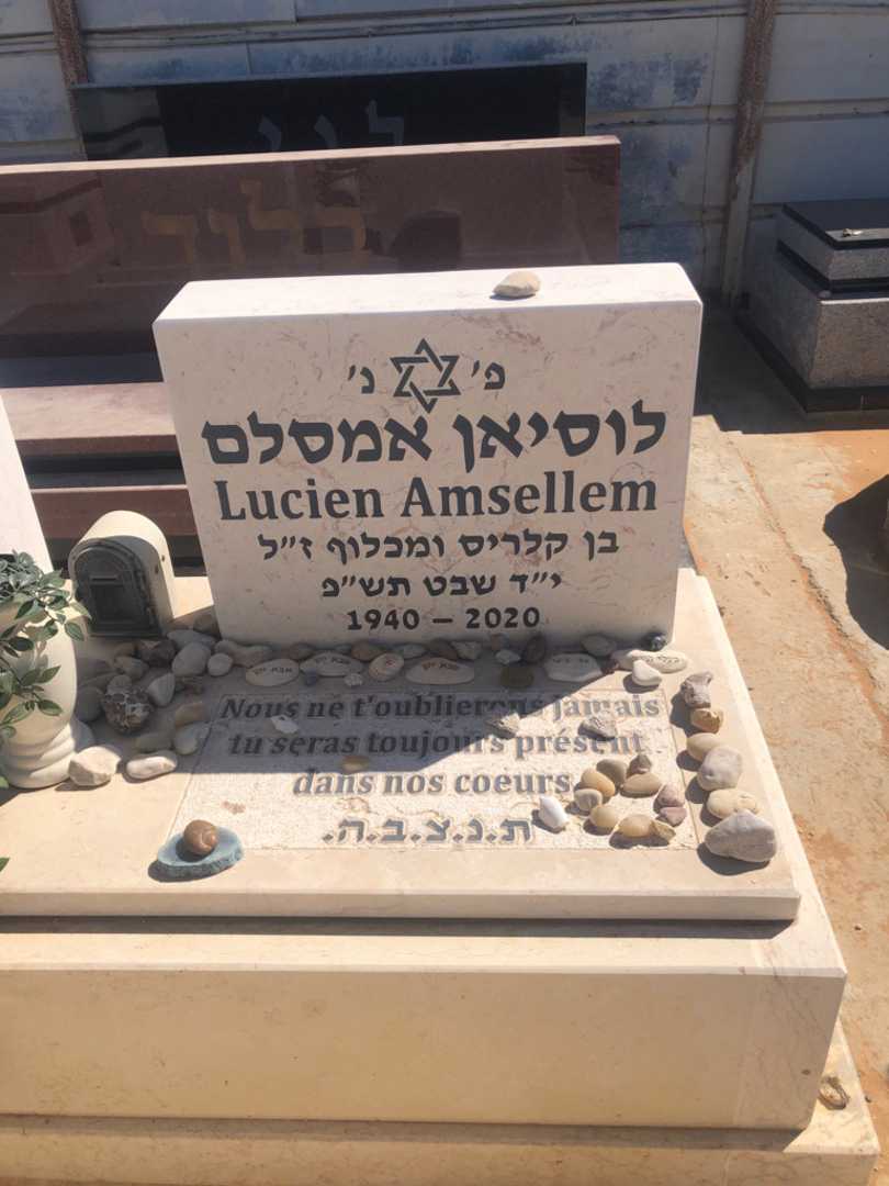 קברו של לוסיאן אמסלם. תמונה 1