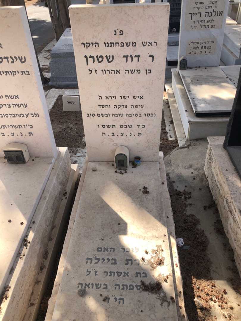 קברו של דוד שטרן. תמונה 1
