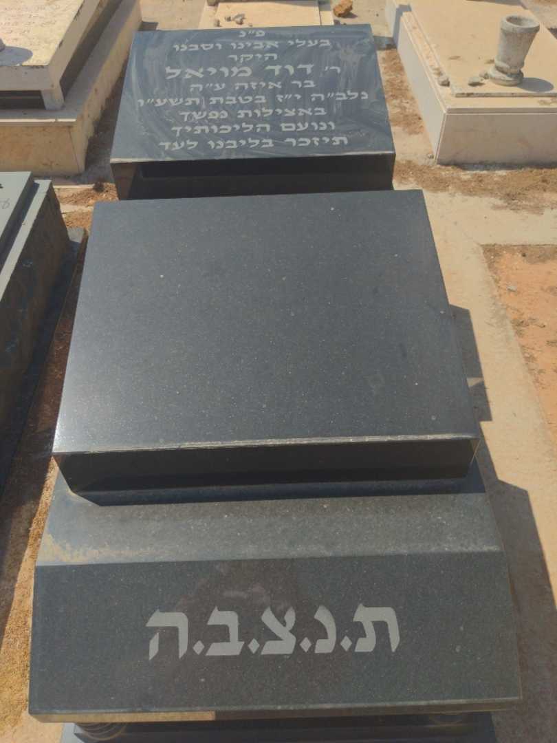 קברו של דוד מויאל. תמונה 1