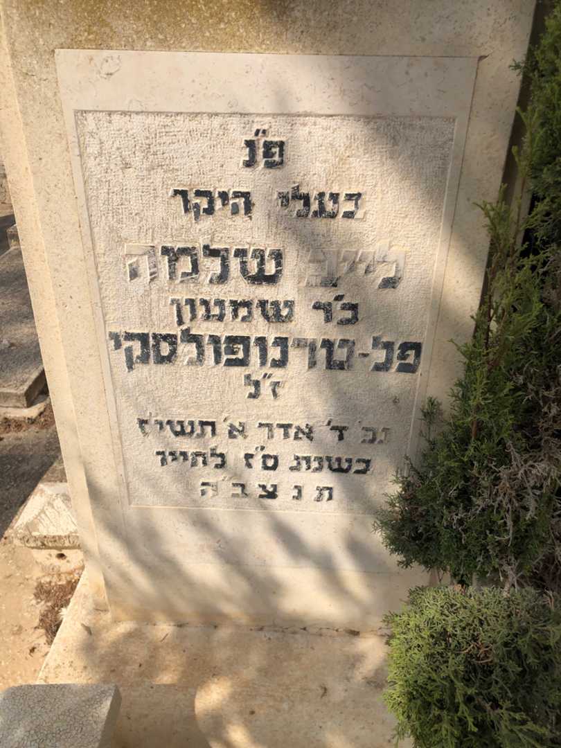 קברו של לייב שלמה פל - טרנופולסקי. תמונה 2