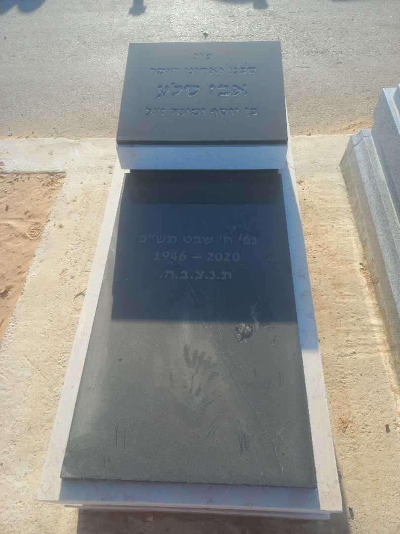 קברו של אבי סלע
