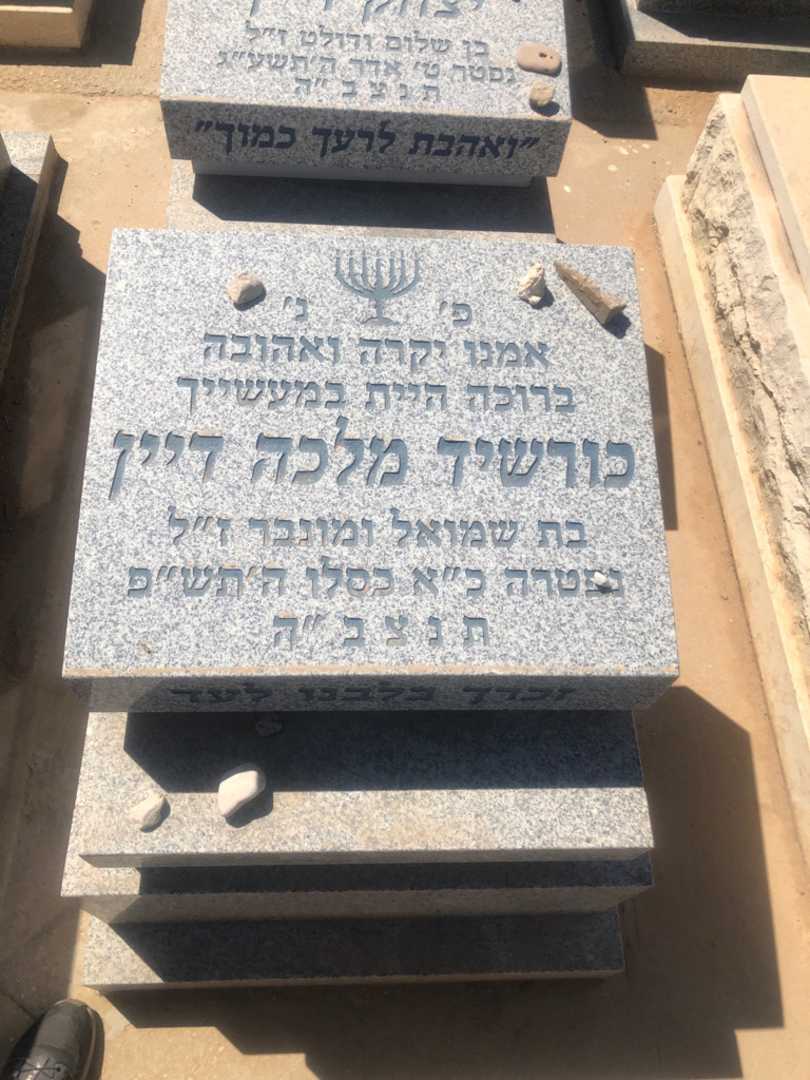 קברו של כורשיד מלכה דיין. תמונה 1