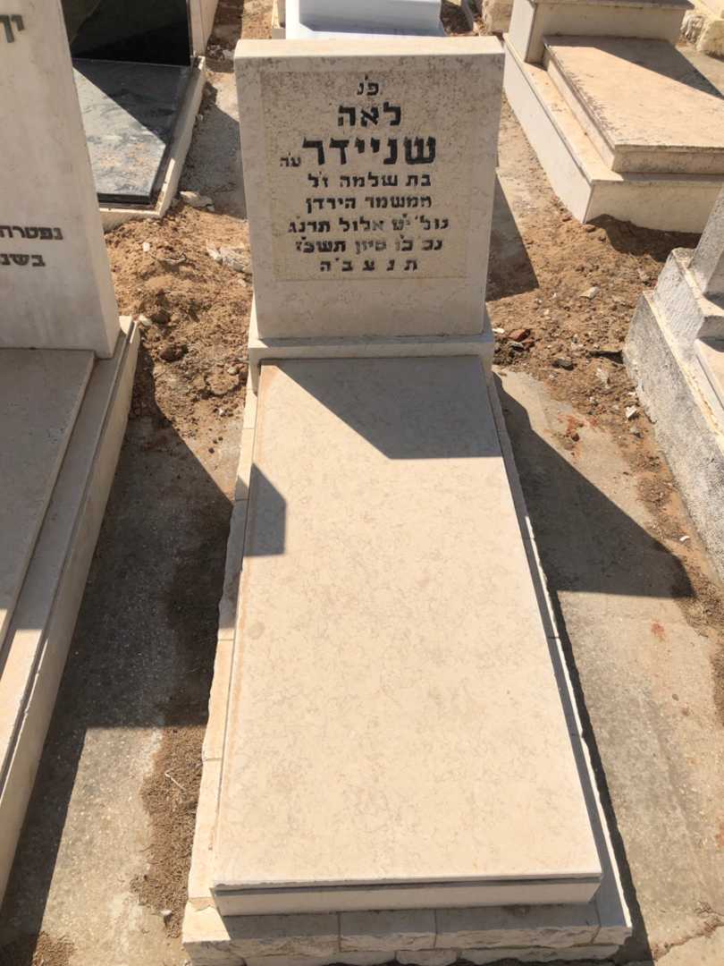 קברו של לאה שניידר
