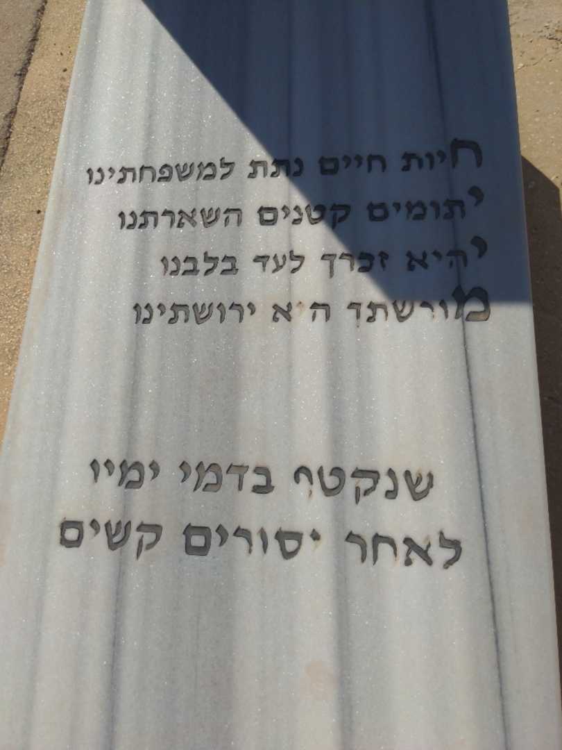 קברו של חיים עזרן. תמונה 2