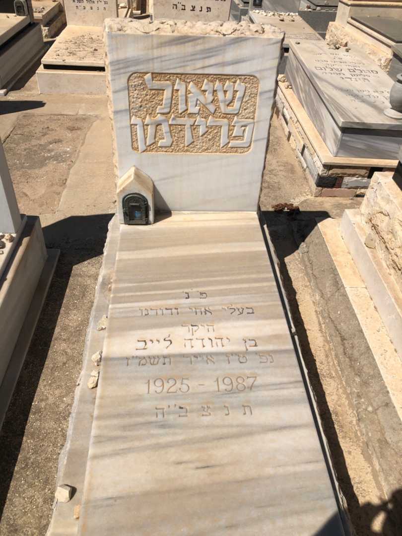 קברו של שאול פרידמן. תמונה 1