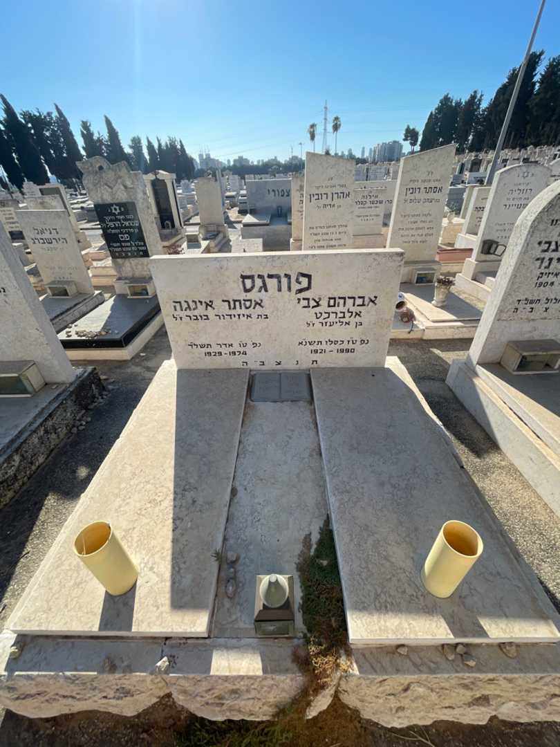 קברו של אברהם צבי "אלברכט" פורגס. תמונה 1