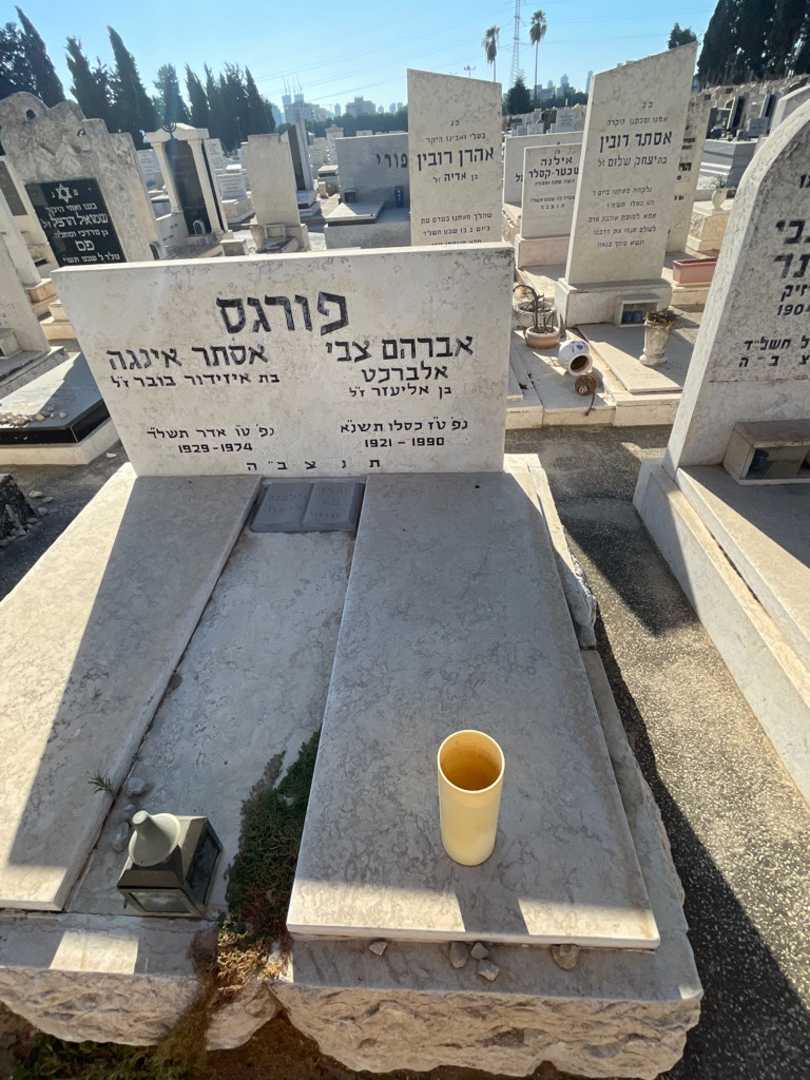 קברו של אברהם צבי "אלברכט" פורגס. תמונה 2
