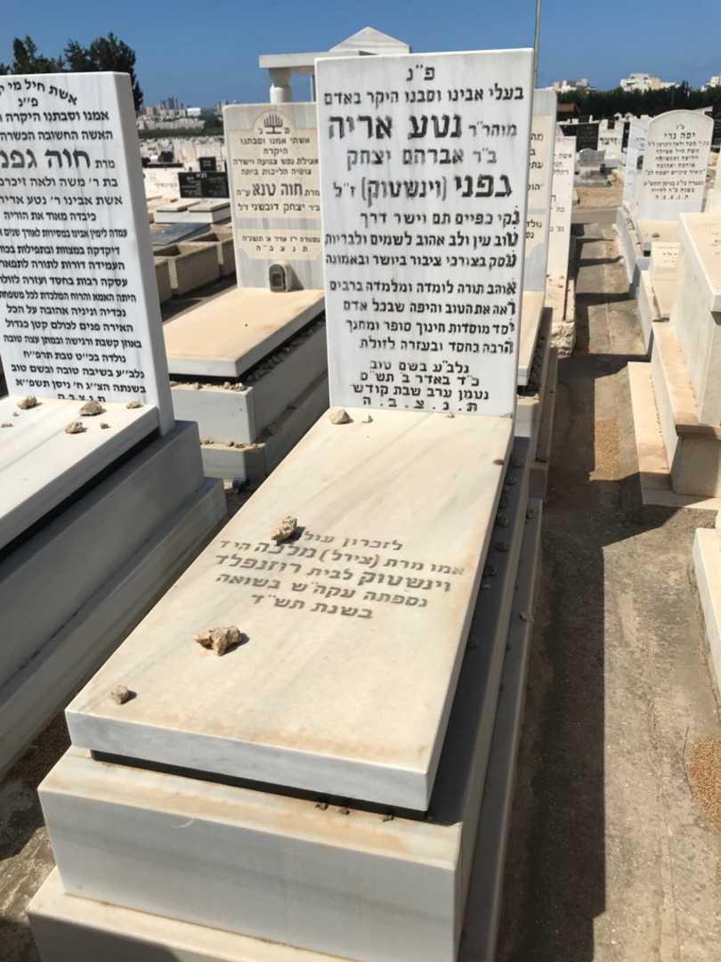 קברו של נטע אריה גפני (וינשטוק)