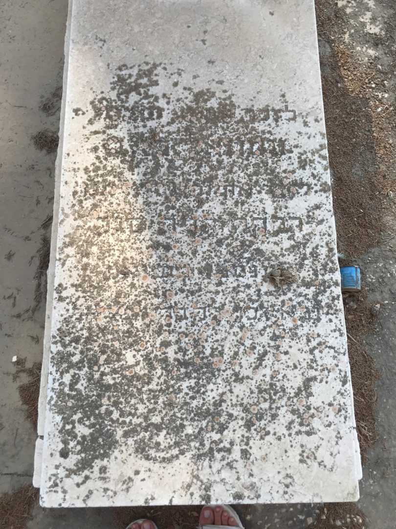 קברו של סגל ויכנה. תמונה 2