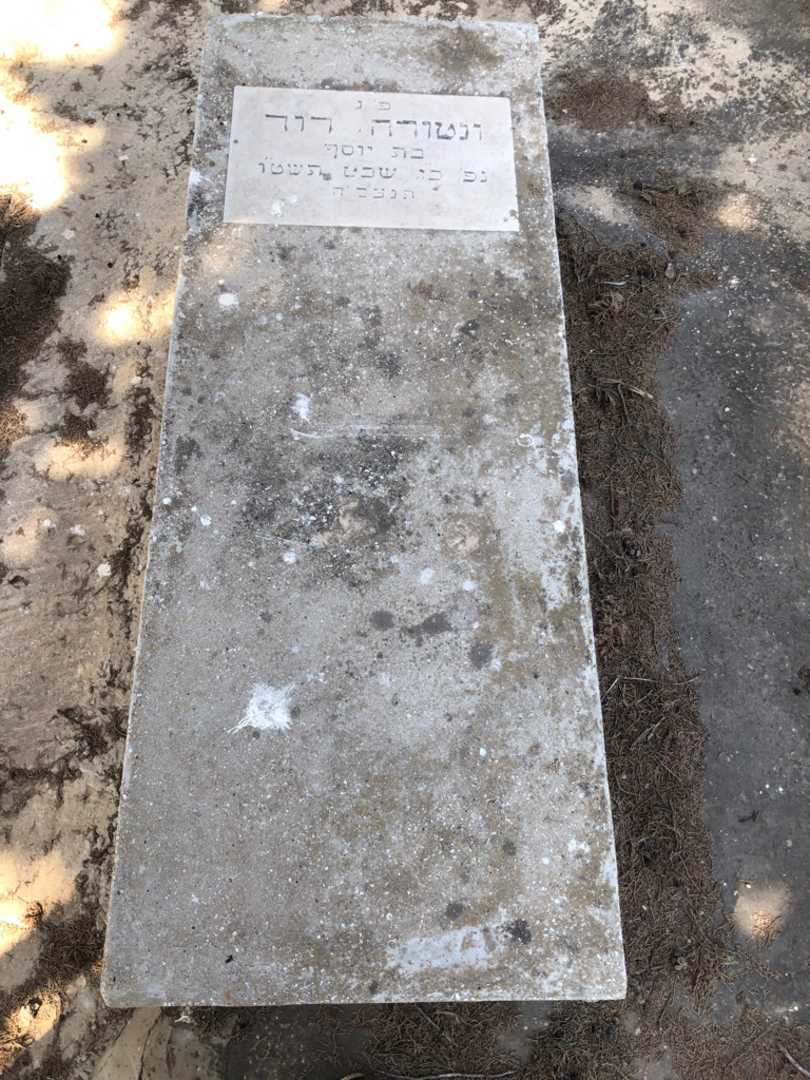 קברו של דוד ונטורה