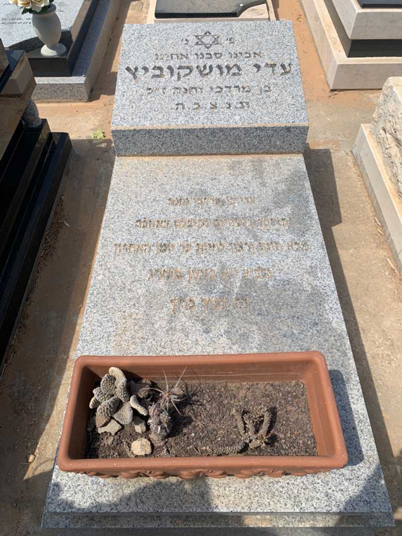 קברו של עדי מושקוביץ