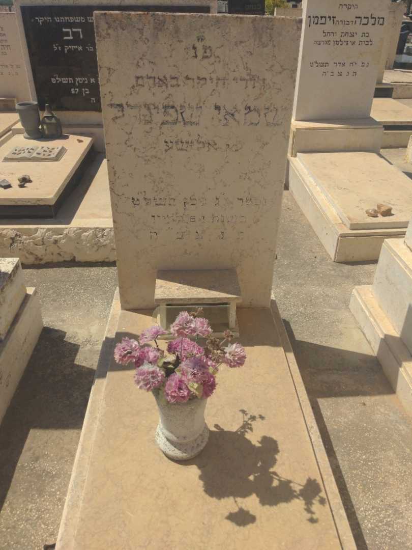קברו של שמאי שפינדל