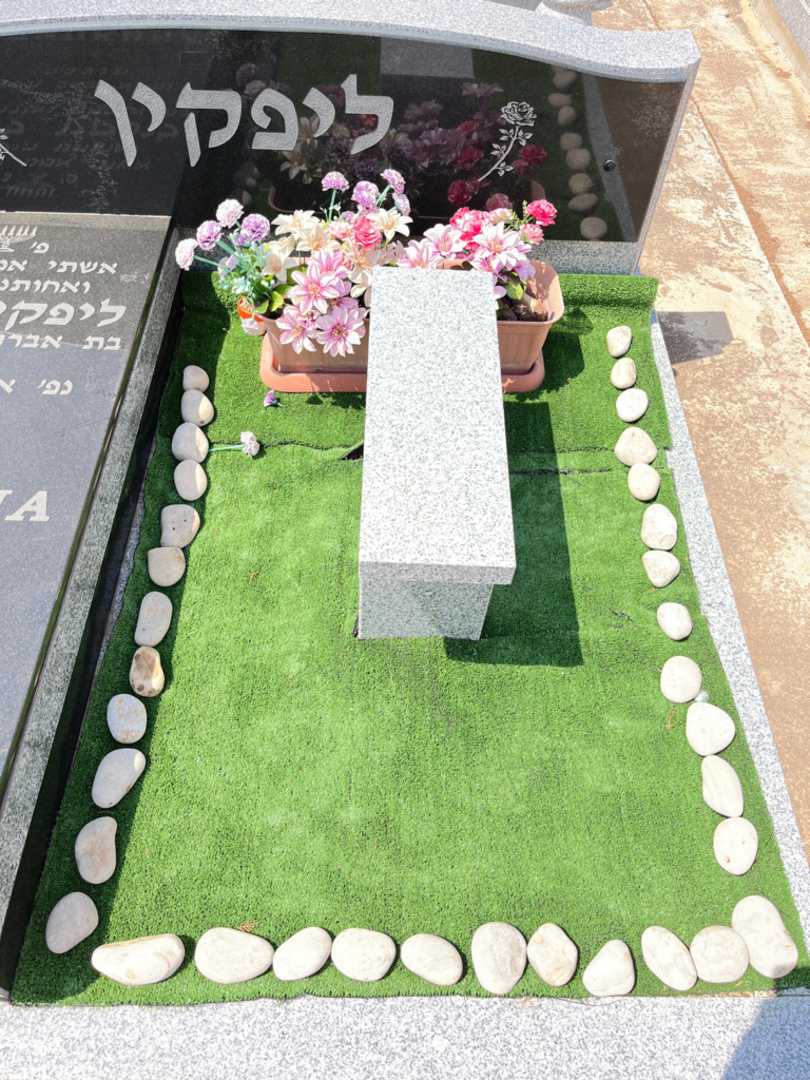 קברו של 1 0. תמונה 2