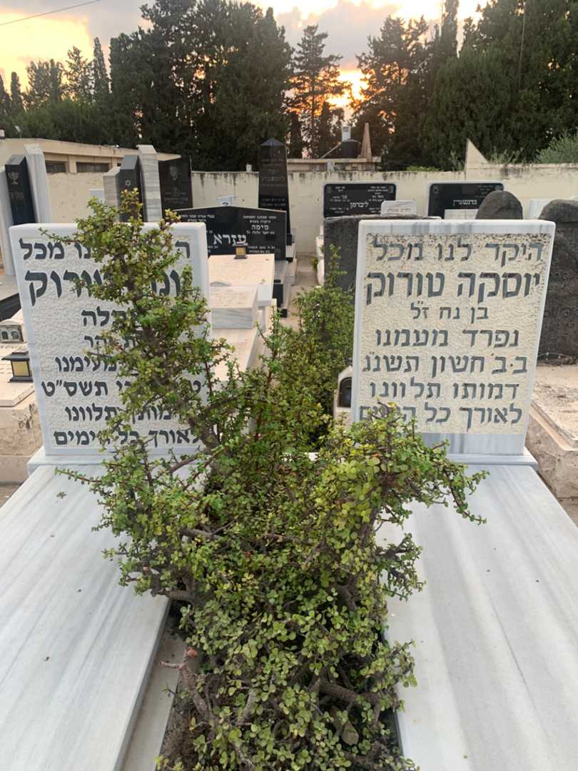קברו של יונה "אתלה" טורוק. תמונה 1