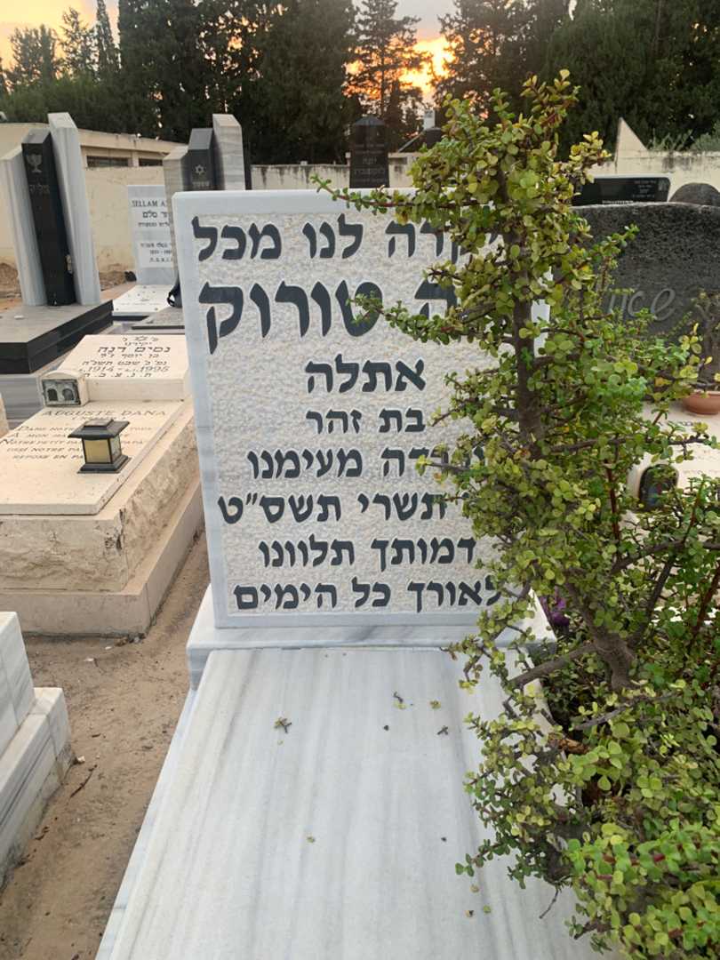 קברו של יונה "אתלה" טורוק. תמונה 2