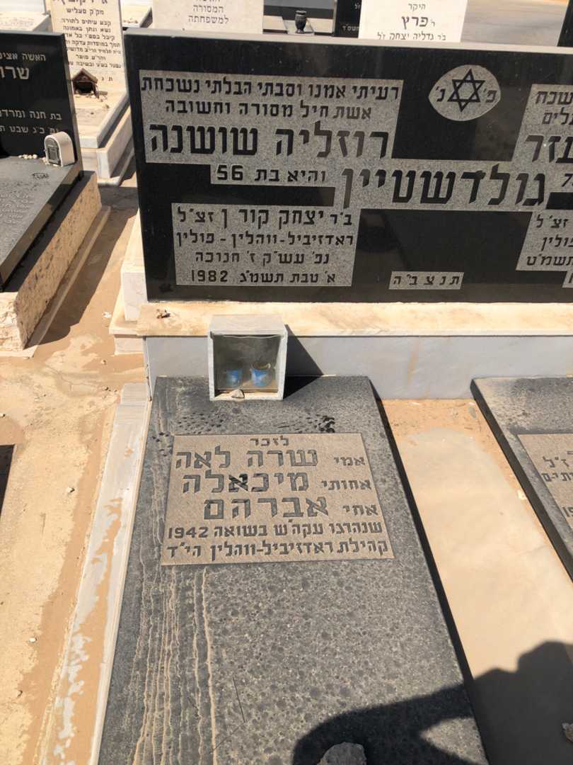 קברו של רוזליה שושנה גולדשטיין. תמונה 1