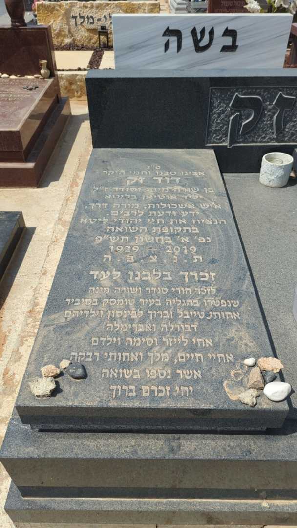 קברו של ברוך לבינסון. תמונה 2