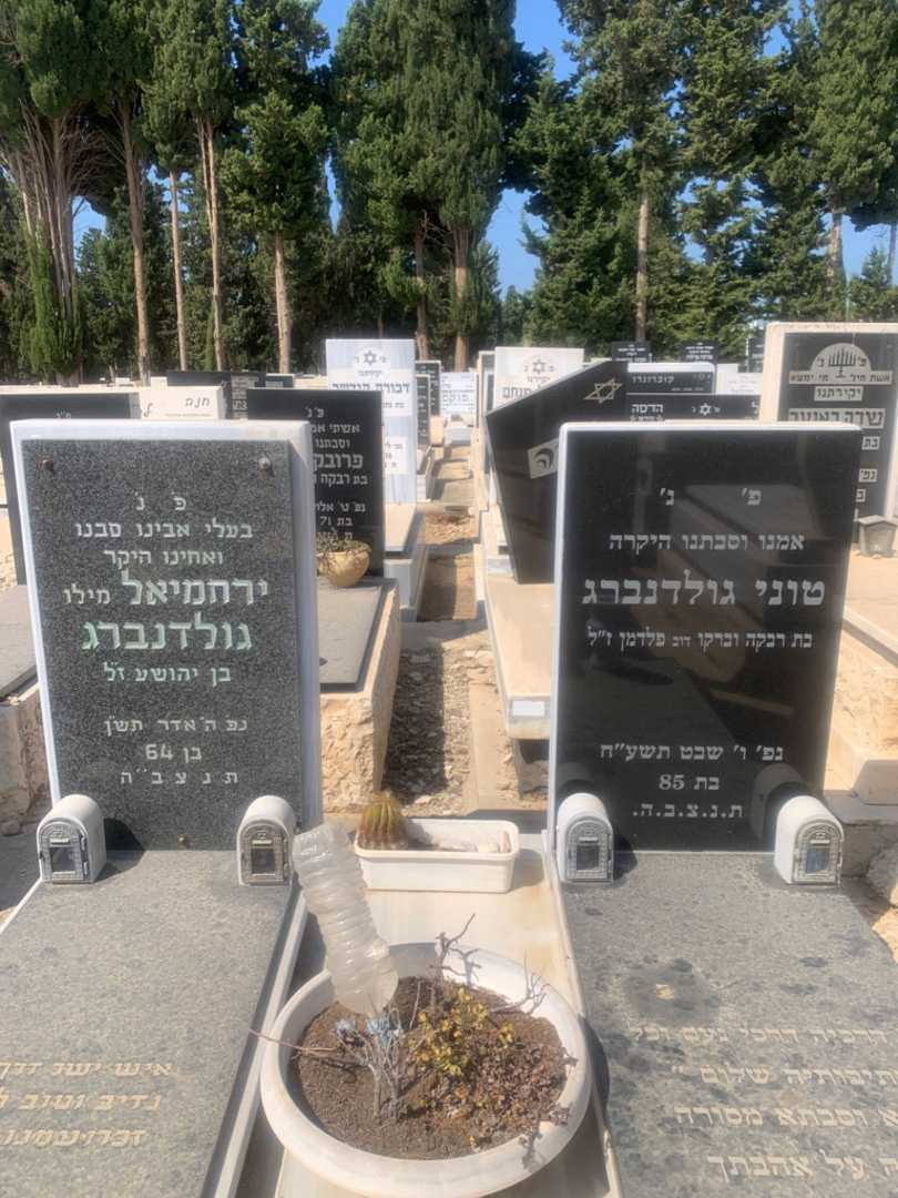 קברו של טוני גולדנברג. תמונה 1