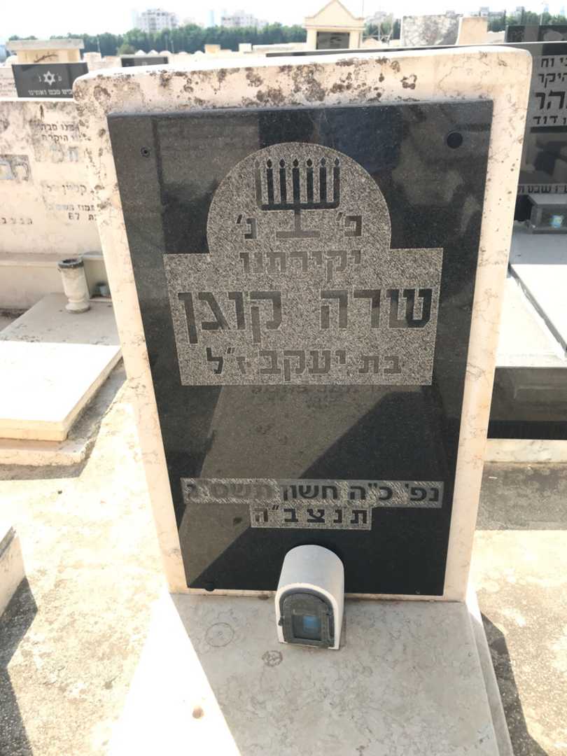 קברו של שרה קוגן. תמונה 2