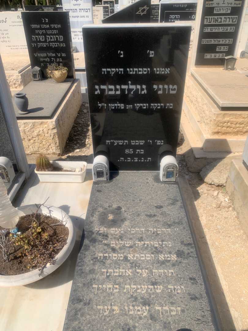 קברו של טוני גולדנברג. תמונה 2