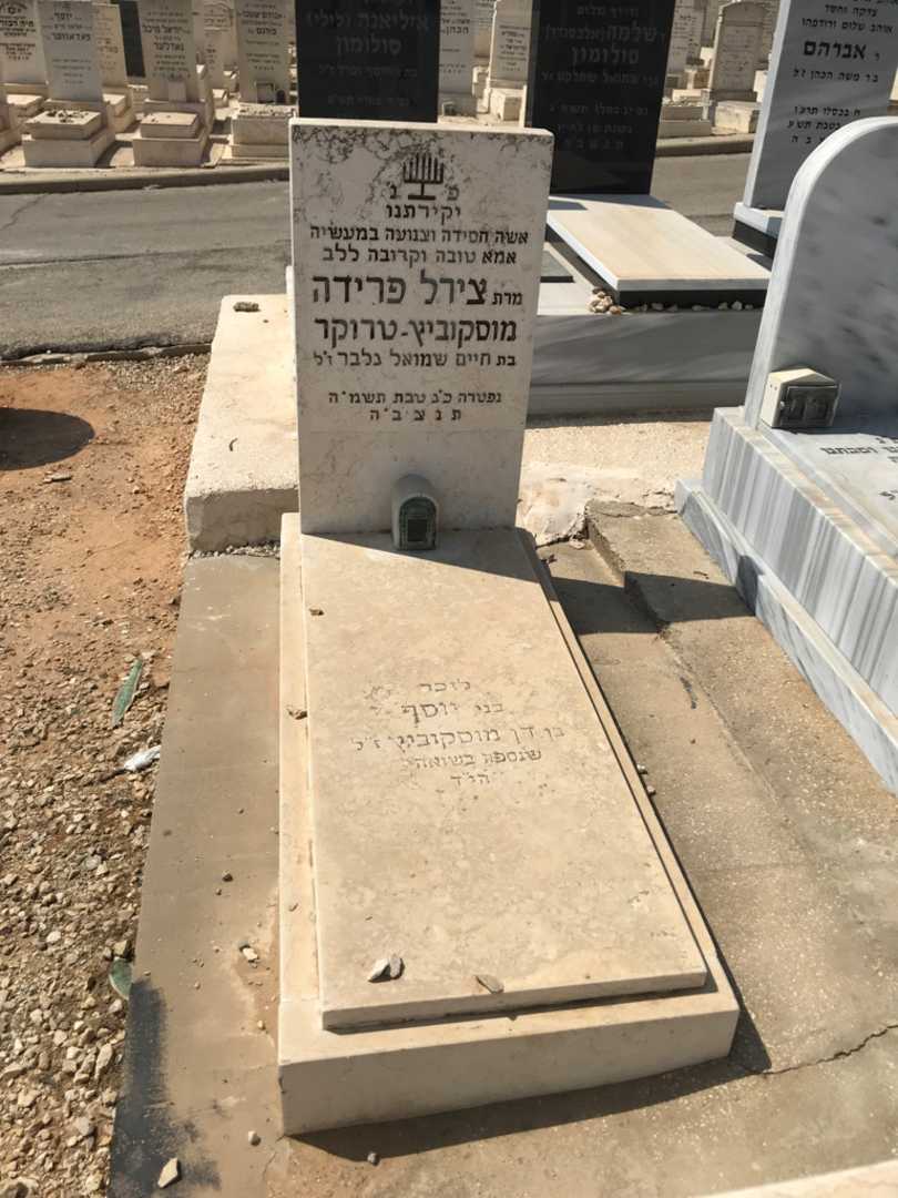 קברו של דן מוסקוביץ