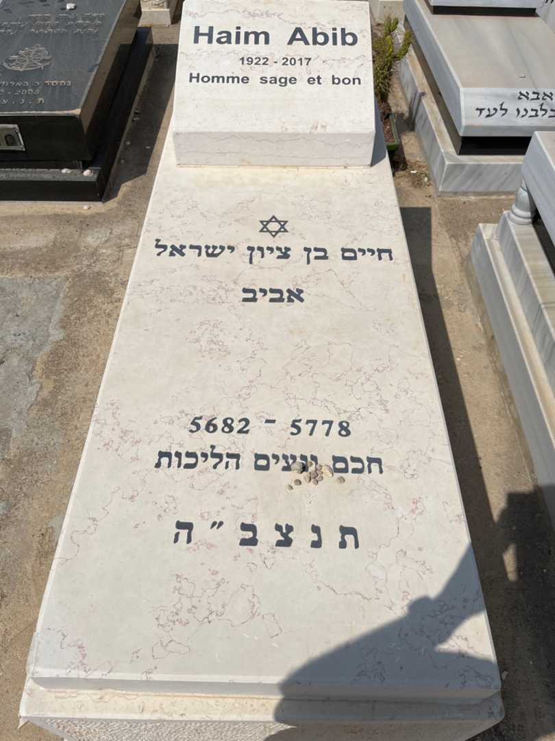 קברו של חיים אביב