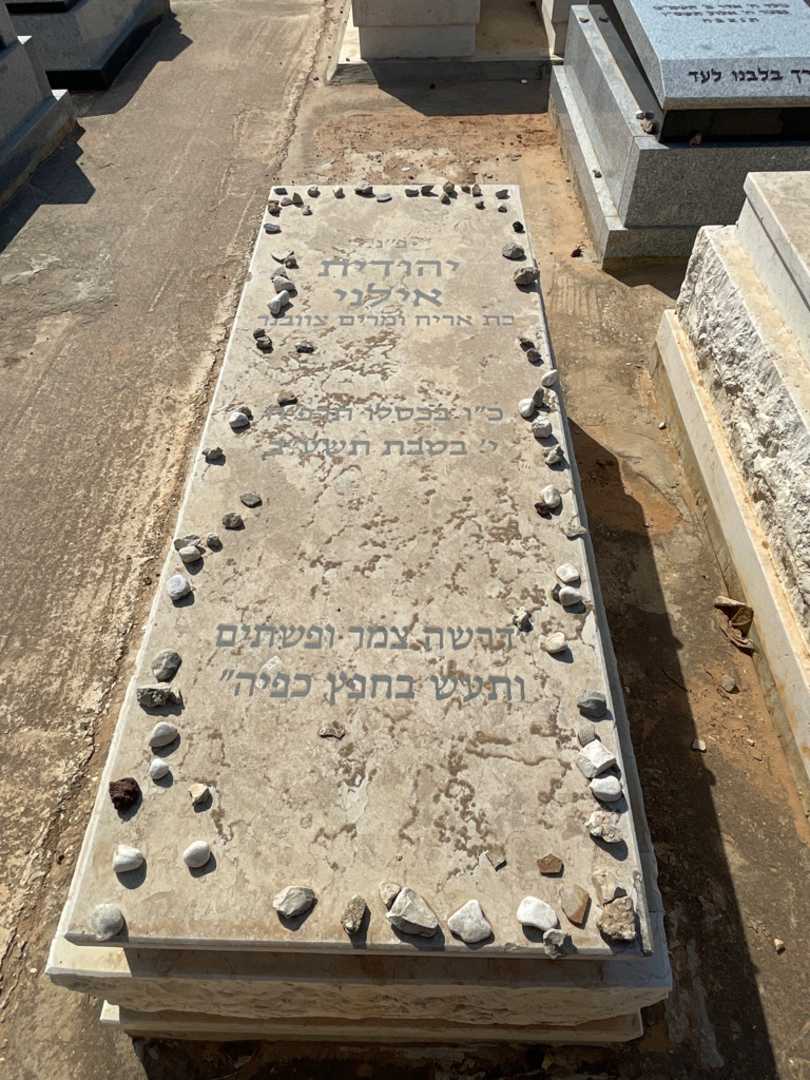 קברו של יהודית אילני. תמונה 2