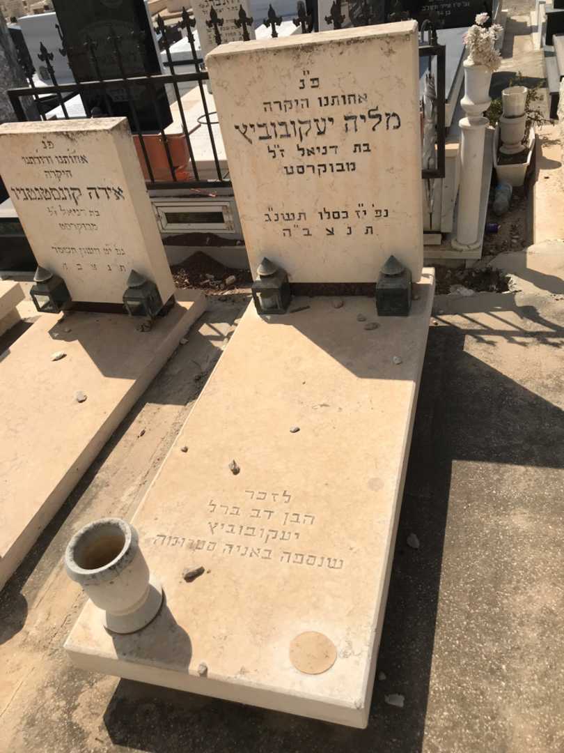 קברו של דב ברל יעקובוביץ
