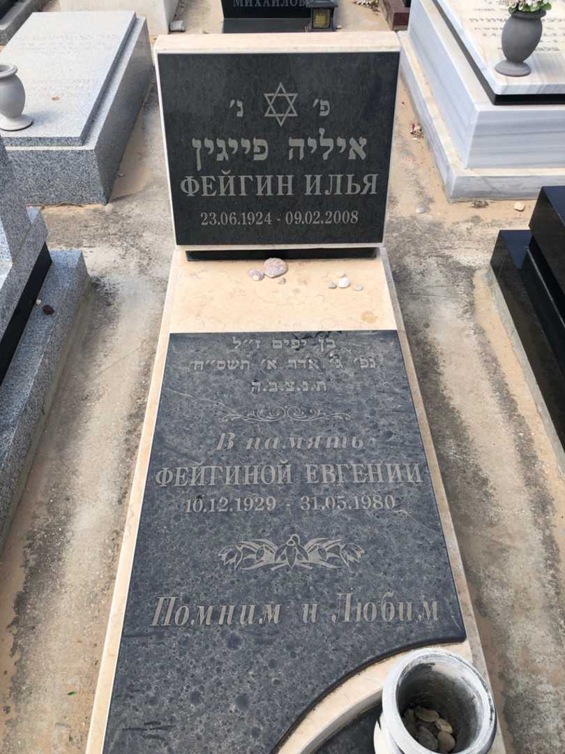 קברו של יבגני פייגין