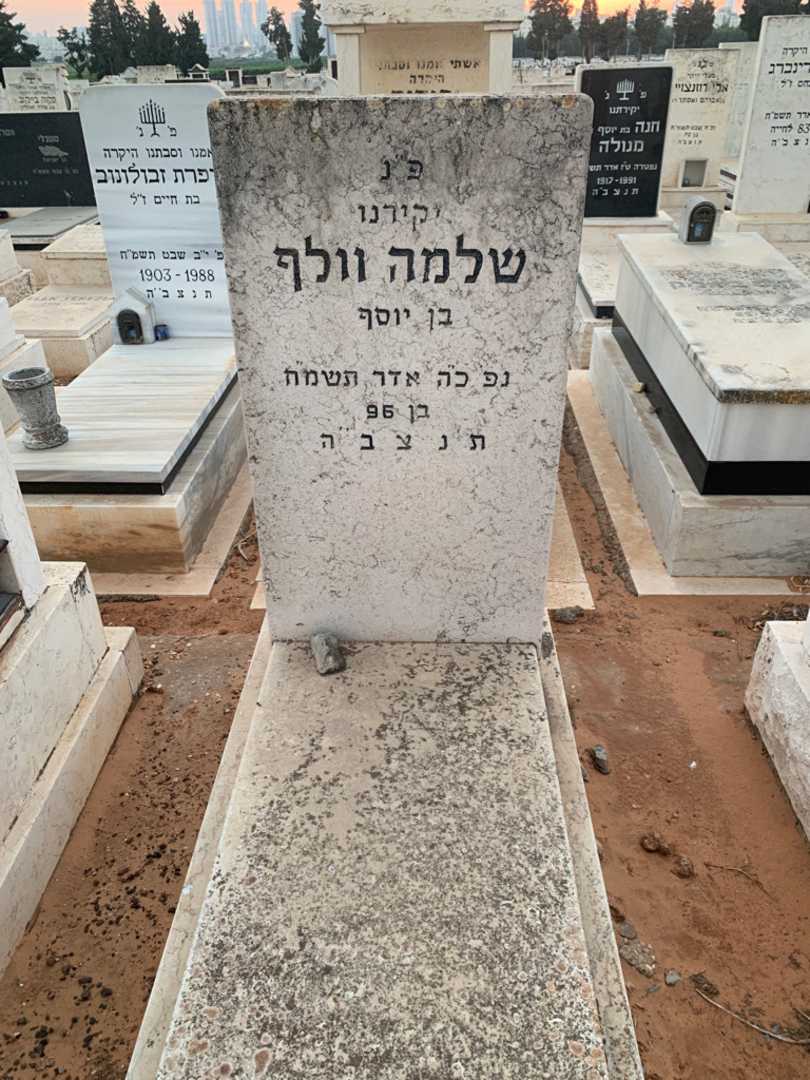 קברו של שלמה וולף