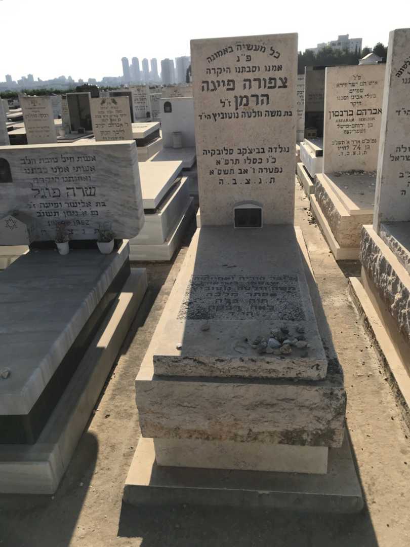 קברו של משה נוטוביץ