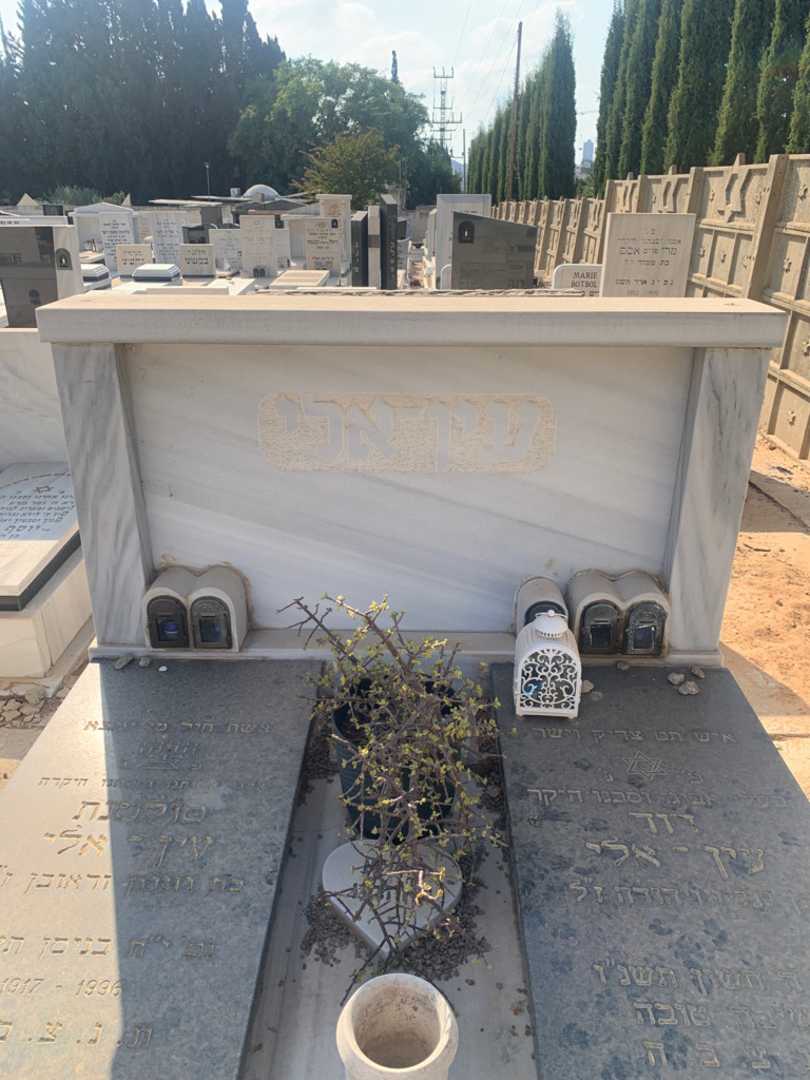 קברו של דוד עין - אלי. תמונה 1