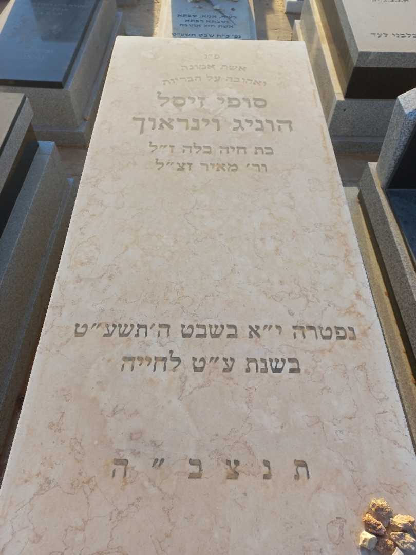 קברו של סופי זיסל הוניג וינראוך