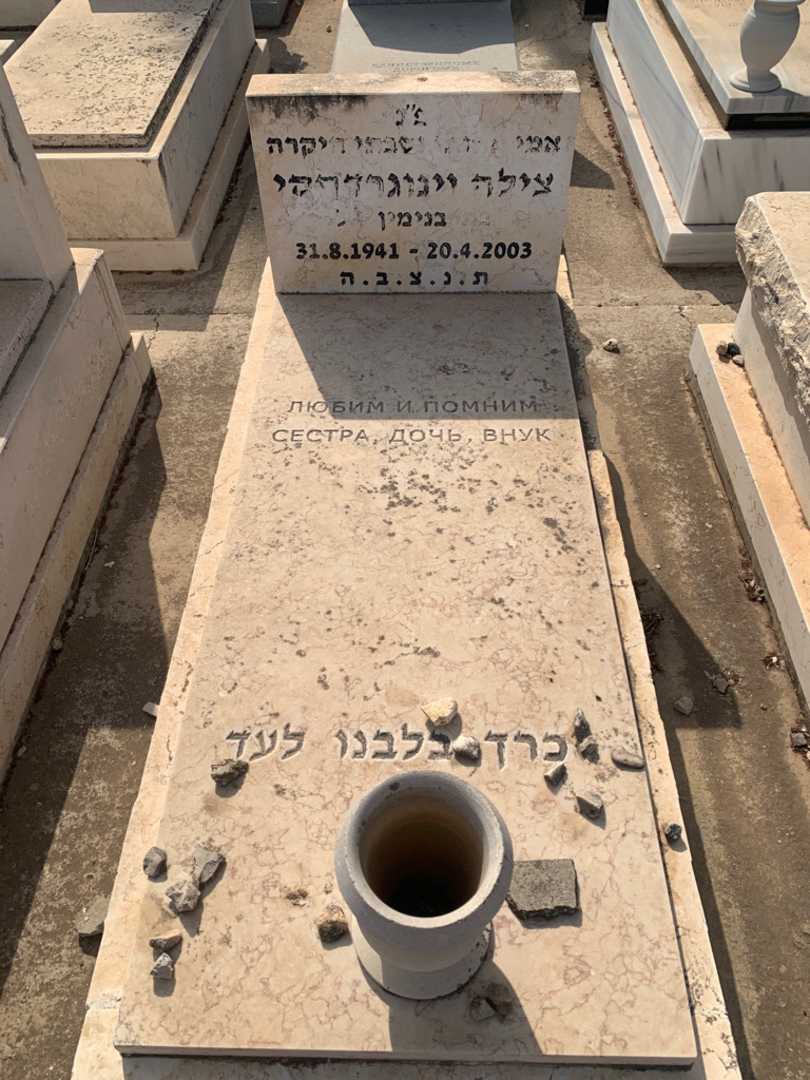 קברו של צילה וינוגרדסקי