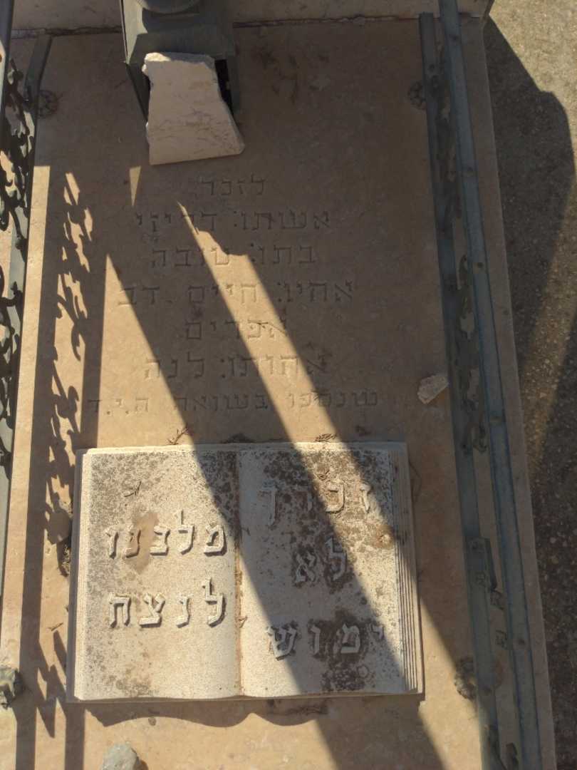 קברו של צבי דוד "הרמן" הופמן. תמונה 2