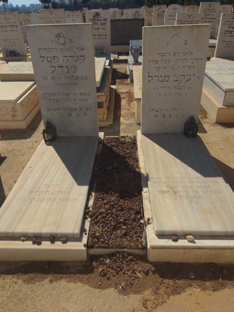 קברו של אליהו וייס. תמונה 1