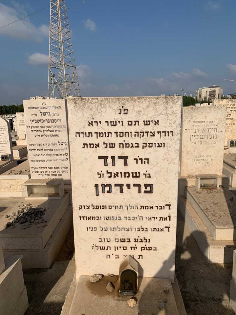 קברו של דוד פרידמן