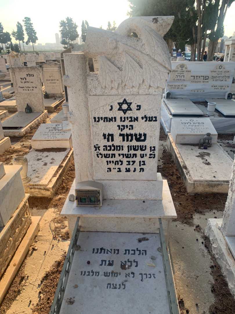 קברו של חי שמר