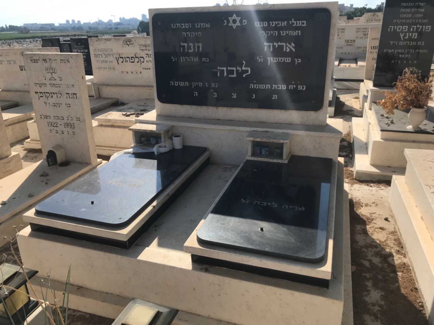 קברו של אריה ליבה. תמונה 1