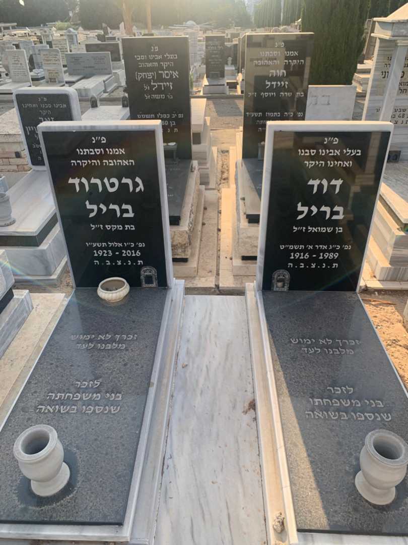 קברו של דוד בריל. תמונה 1