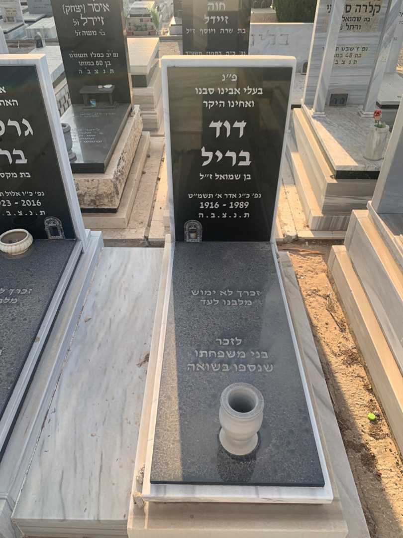 קברו של דוד בריל. תמונה 2