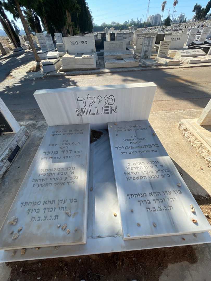 קברו של דוד מילר. תמונה 1