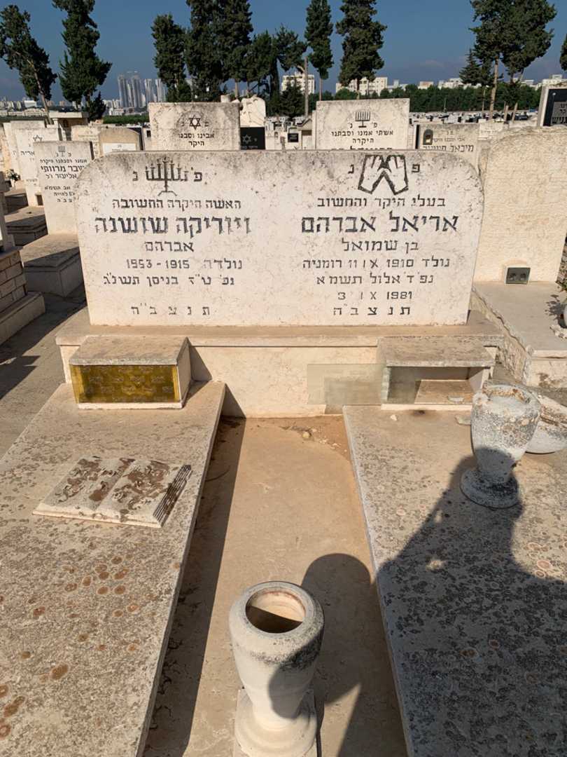 קברו של אריאל אברהם. תמונה 1