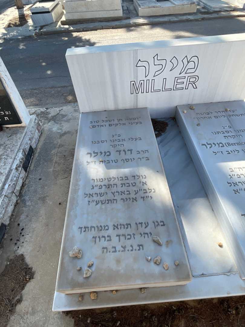 קברו של דוד מילר. תמונה 2