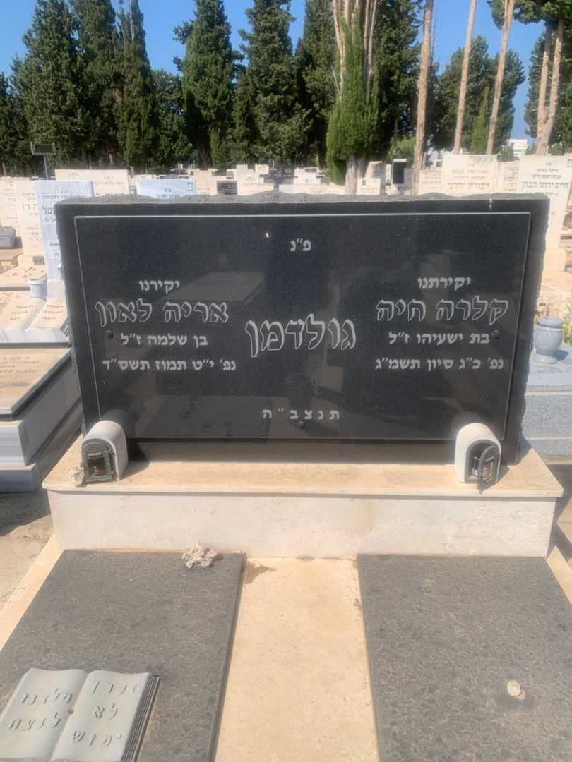 קברו של אריה לאון גולדמן. תמונה 1